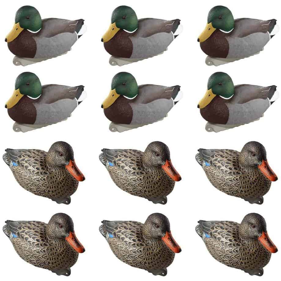 Mallard duck decoys 12 pack hot sale